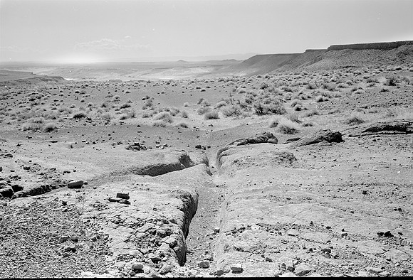 Narrow Oxen ruts, south alternate  trail