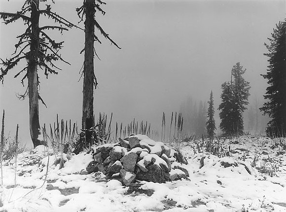 Indian Post Office, on Lolo Trail, Bitterroot Mountians, ID
