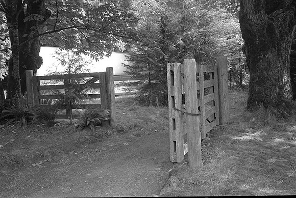 West Tollgate on Barlow road, Mt. Hood, Oregon