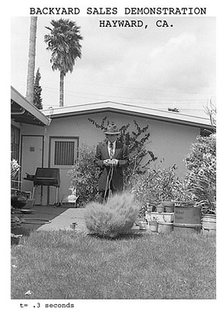 backyard sales demonstration 1982