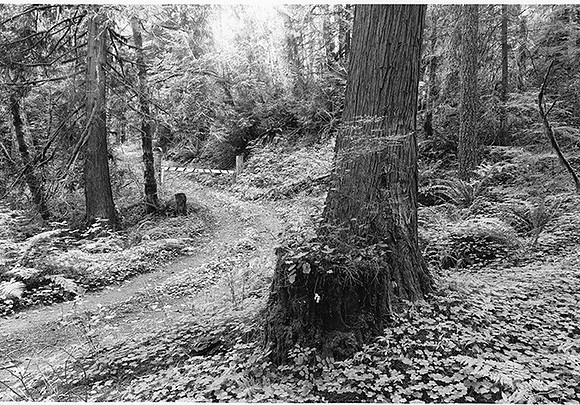 Barlow  Road , Mt. Hood, Oregon