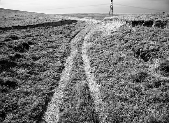 Ruts  of  California-Oregon  emigrant  wagon  road ascending  from Platte  river, near  Brule,  NB
