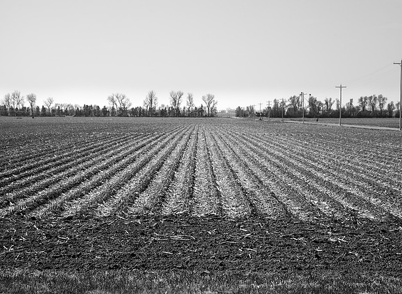 Platte River  bottom  land