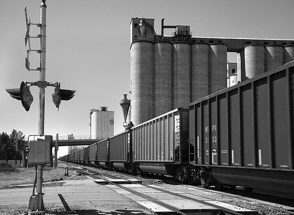 Corn  storage,  Shuyler, Nebraska