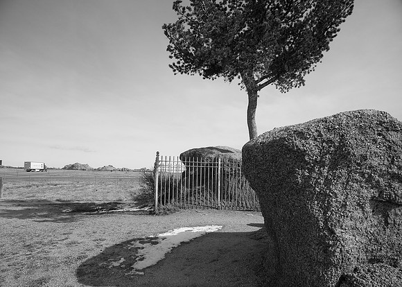 Lone  tree at Sherman   summit