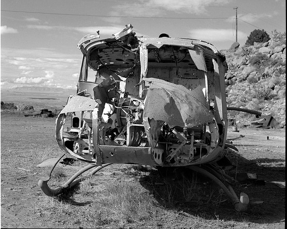 windshield destroyed by chicken carcuses