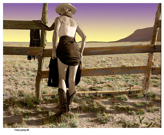 Fence Jump #3
