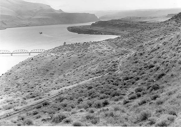 Trail  in Columbia River Gorge,Wasco  Co. , Oregon