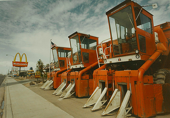 Cotton Pickers, 1978. Chandler, AZ