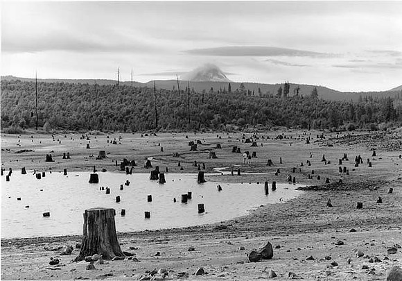 Former campsite. Barlow road and Mt Hood.